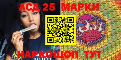 мяу мяу мука Аргун