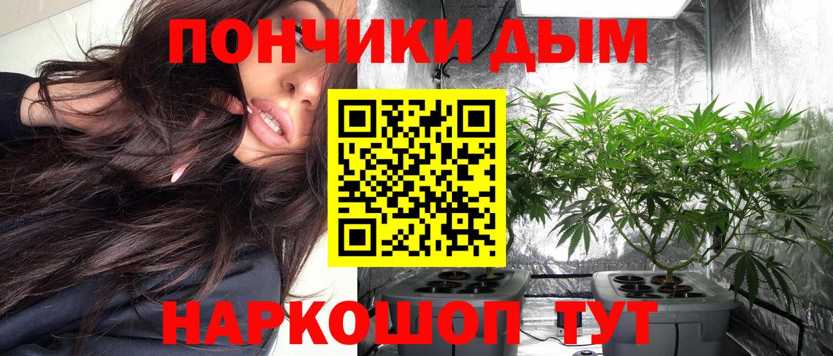 Бошки марихуана индика Будённовск